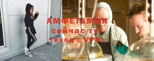 гидра Алексеевка