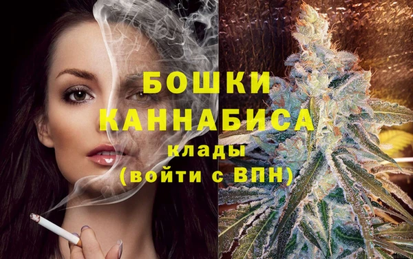 гидра Алексеевка