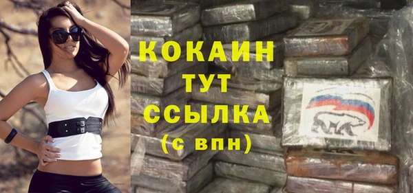 гидра Алексеевка