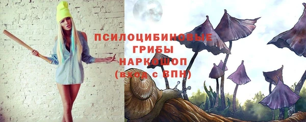 сатива Алексин