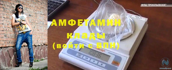 сатива Алексин