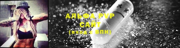 гидра Алексеевка