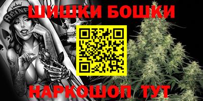 индика Кинель