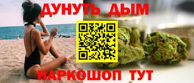 прущие крисы Кингисепп