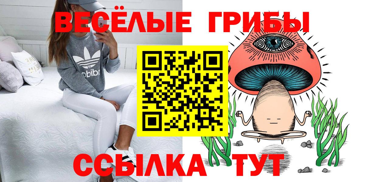 Светлоград  даркнет сайт  Вход с VPN  Галлюциногенные грибы GOLDEN TEACHER 