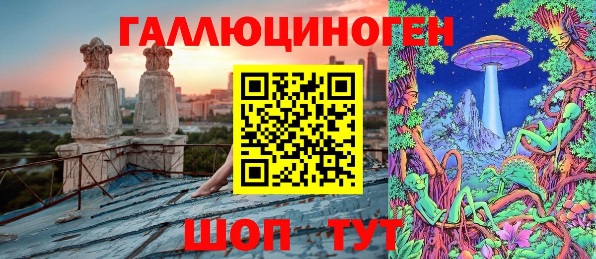 Галлюциногенные грибы Psilocybe Светлоград